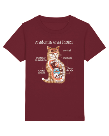 Anatomia unei pisici Burgundy
