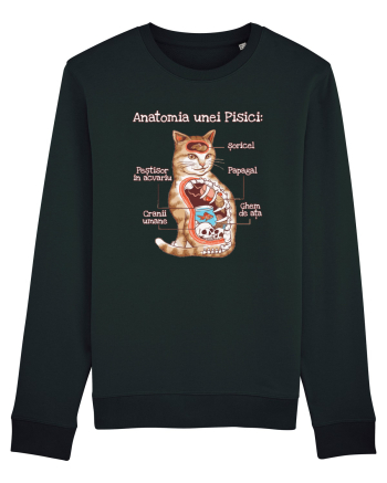 Anatomia unei pisici Black