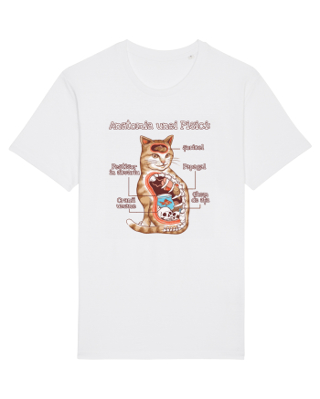Anatomia unei pisici White