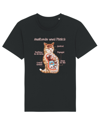 Anatomia unei pisici Black