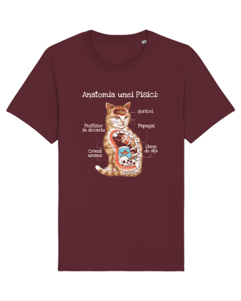 Anatomia unei pisici Burgundy