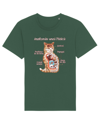Anatomia unei pisici Bottle Green