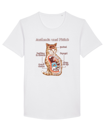 Anatomia unei pisici White