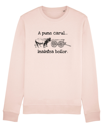 A pune carul inaintea boilor. Candy Pink