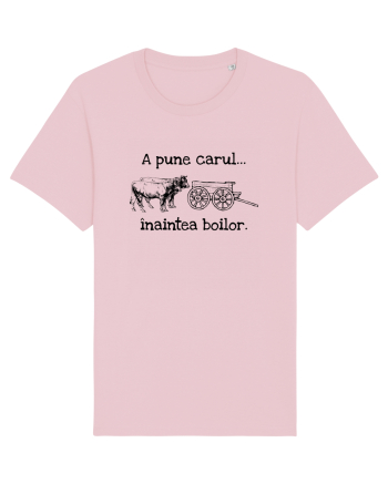 A pune carul inaintea boilor. Cotton Pink