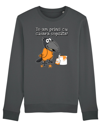 Te-am prins cu cioara vopsita! Anthracite