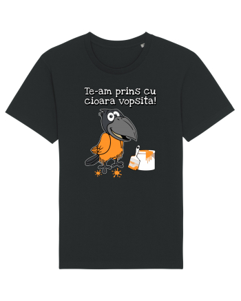 Te-am prins cu cioara vopsita! Black
