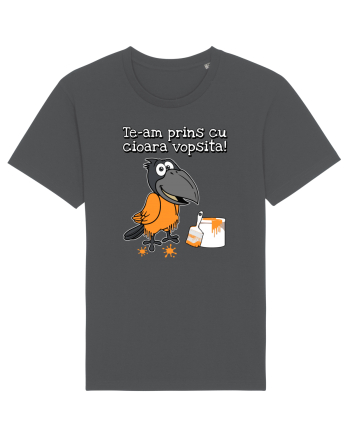 Te-am prins cu cioara vopsita! Anthracite