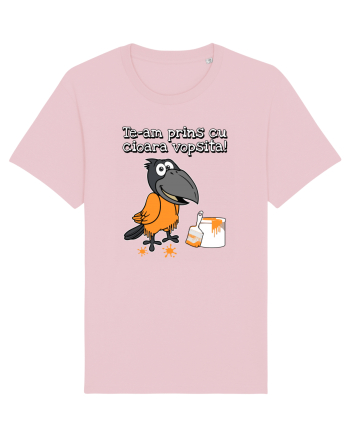 Te-am prins cu cioara vopsita! Cotton Pink