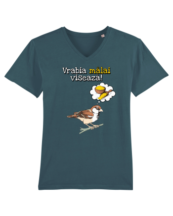 Vrabia malai viseaza! Stargazer