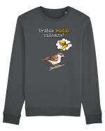 Vrabia malai viseaza! Bluză mânecă lungă Unisex Rise