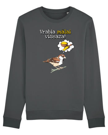Vrabia malai viseaza! Anthracite