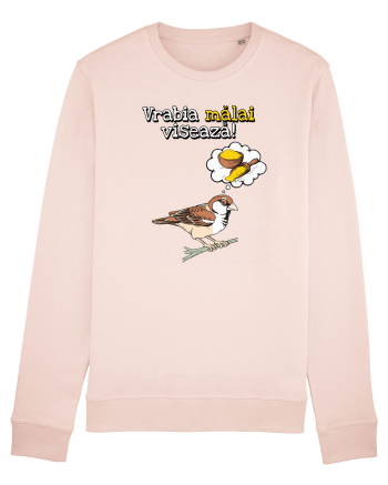 Vrabia malai viseaza! Candy Pink