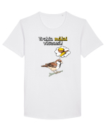 Vrabia malai viseaza! Tricou mânecă scurtă guler larg Bărbat Skater
