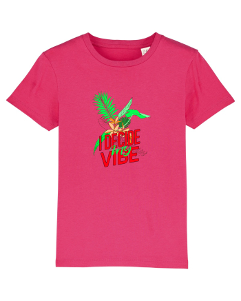 i decide my vibe Raspberry