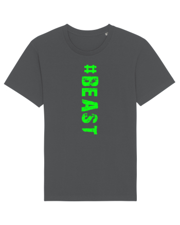 BEAST Anthracite