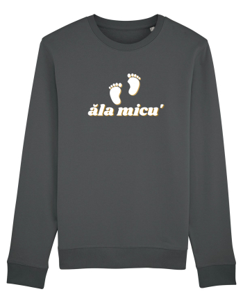 Ăla micu' (picioare de bebeluș)  Anthracite