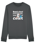 Curier Barză, aveți un colet.  Bluză mânecă lungă Unisex Rise