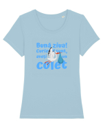 Curier Barză, aveți un colet. (albastru, băiat)  Tricou mânecă scurtă guler larg fitted Damă Expresser