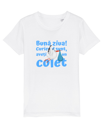 Curier Barză, aveți un colet. (albastru, băiat)  White
