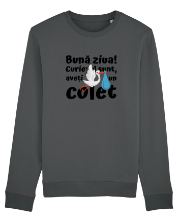 Curier Barză, aveți un colet. (negru)  Anthracite