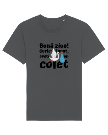 Curier Barză, aveți un colet. (negru)  Anthracite
