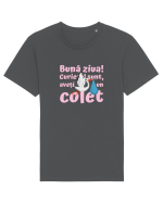 Curier Barză, aveți un colet. (roz, fetiță)  Tricou mânecă scurtă Unisex Rocker