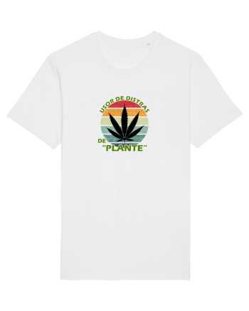 Usor de distras de plante White