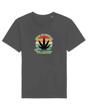 Usor de distras de plante Anthracite