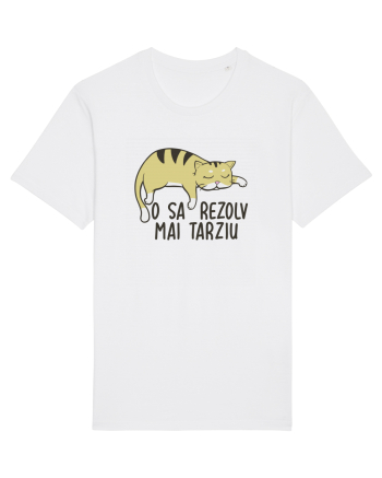 O sa rezolv mai tarziu White