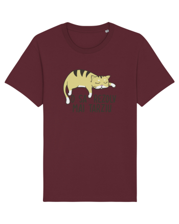O sa rezolv mai tarziu Burgundy