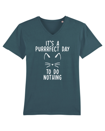 Purrrfect day to do nothing Stargazer