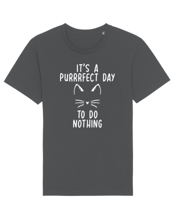 Purrrfect day to do nothing Anthracite
