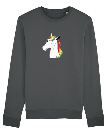 Wink wink rainbow. Anthracite