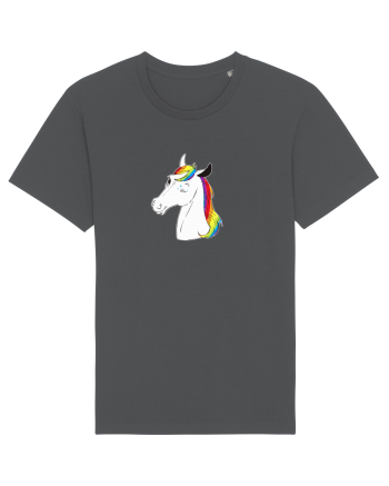 Wink wink rainbow. Anthracite