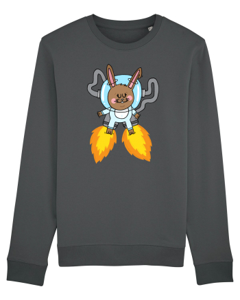 Space Bunny Anthracite