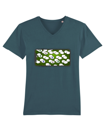 Sheep Sweeper Stargazer