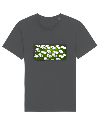 Sheep Sweeper Anthracite
