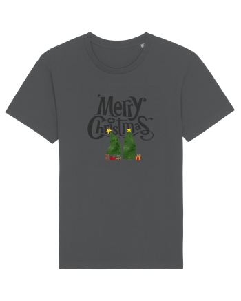 Merry Christmas (doi pomi de Crăciun)  Anthracite