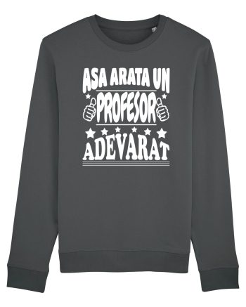 Asa arata un profesor adevarat Anthracite