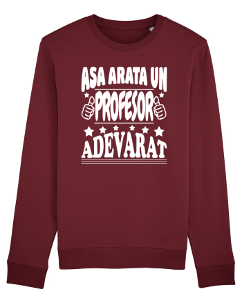 Asa arata un profesor adevarat Burgundy