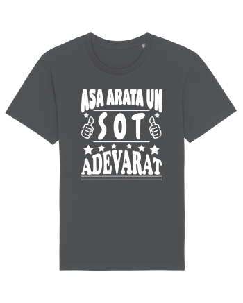 Asa arata un sot adevarat Anthracite