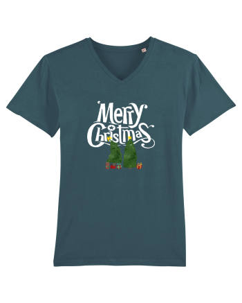 Merry Christmas (pom iubitor)  Stargazer