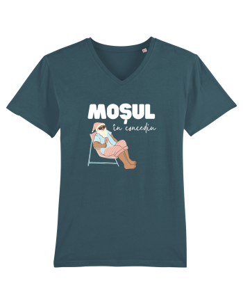 Moș Crăciun în Concediu (alb)  Stargazer