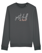 Just Chill, No Thrill Bluză mânecă lungă Unisex Rise