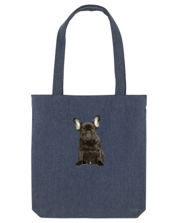 French bulldog Midnight Blue
