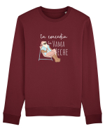 Moș Crăciun în Vama Veche (alb)  Bluză mânecă lungă Unisex Rise
