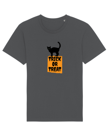 Pisica Neagră Trick or Treat  Anthracite