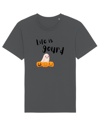 Life is Gourd  Anthracite
