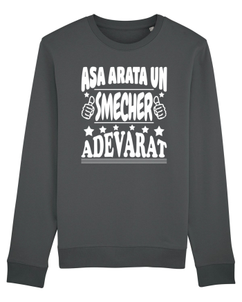 Asa arata un smecher adevarat Anthracite